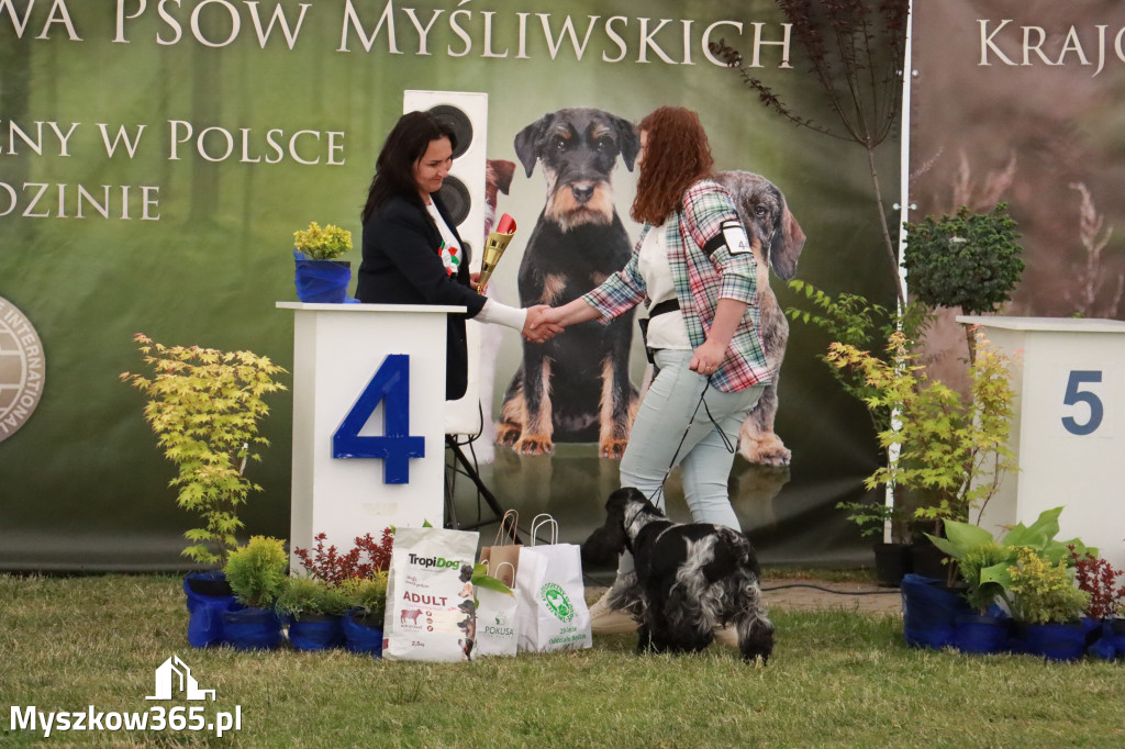 Fotorelacja - Wystawa Psów Rasowych GNIAZDÓW 2024r. NIEDZIELA III