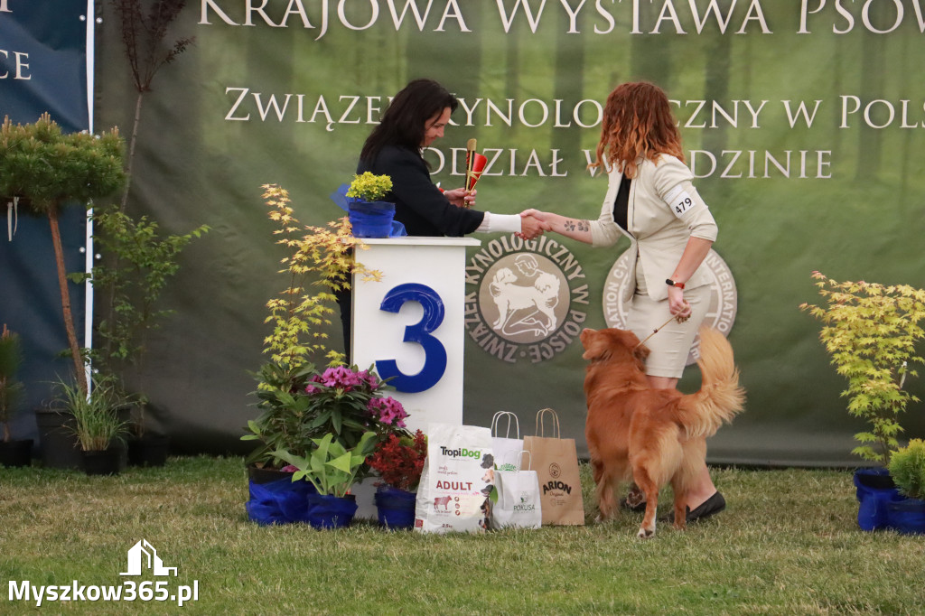 Fotorelacja - Wystawa Psów Rasowych GNIAZDÓW 2024r. NIEDZIELA III