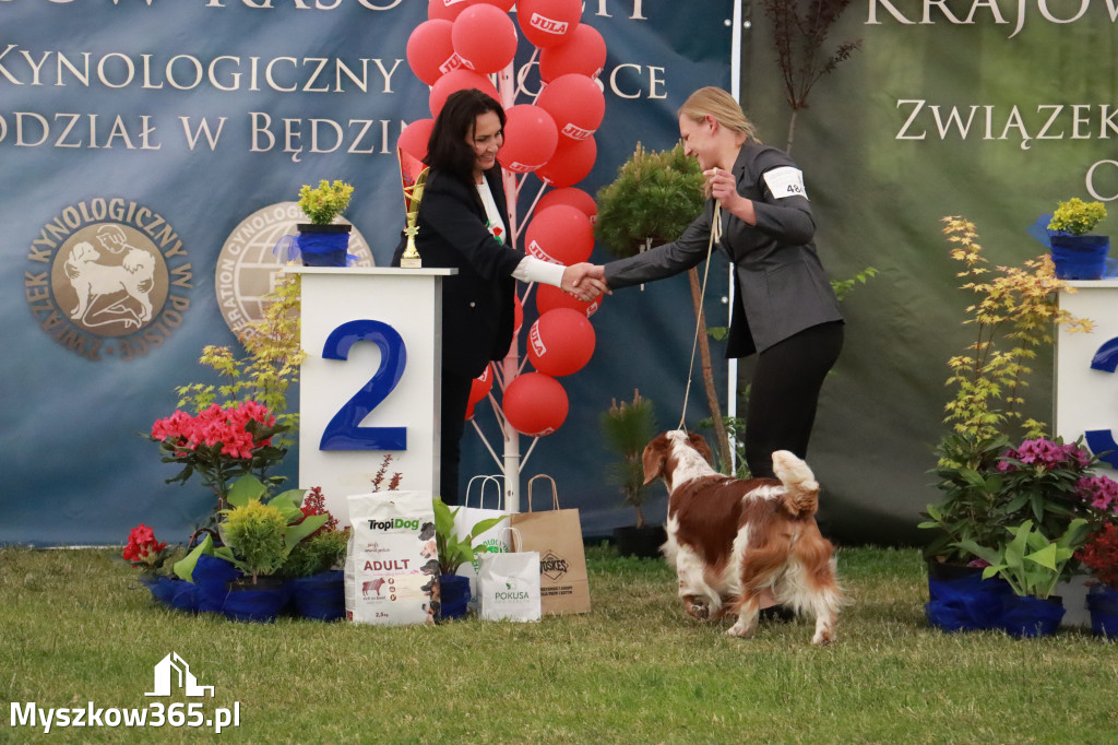 Fotorelacja - Wystawa Psów Rasowych GNIAZDÓW 2024r. NIEDZIELA III