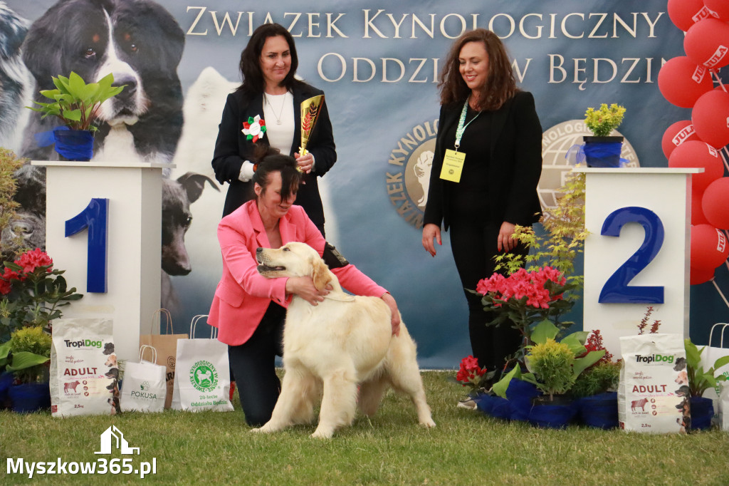 Fotorelacja - Wystawa Psów Rasowych GNIAZDÓW 2024r. NIEDZIELA III