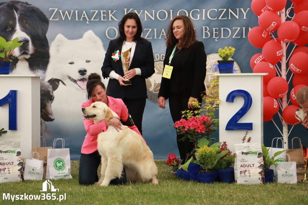 Fotorelacja - Wystawa Psów Rasowych GNIAZDÓW 2024r. NIEDZIELA III