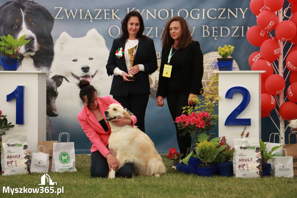 Fotorelacja - Wystawa Psów Rasowych GNIAZDÓW 2024r. NIEDZIELA III