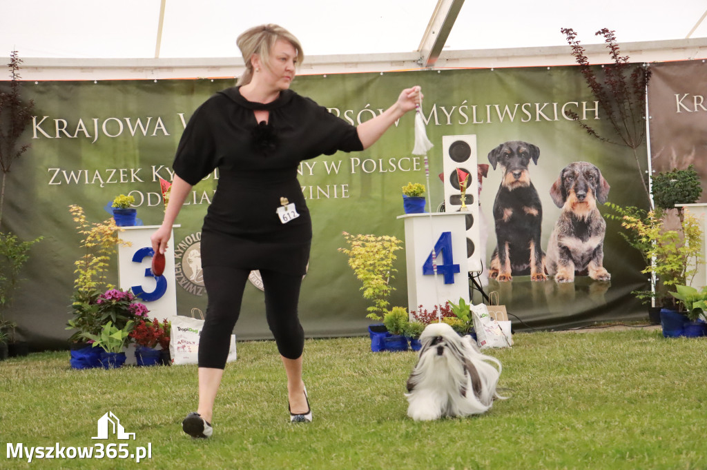 Fotorelacja - Wystawa Psów Rasowych GNIAZDÓW 2024r. NIEDZIELA III