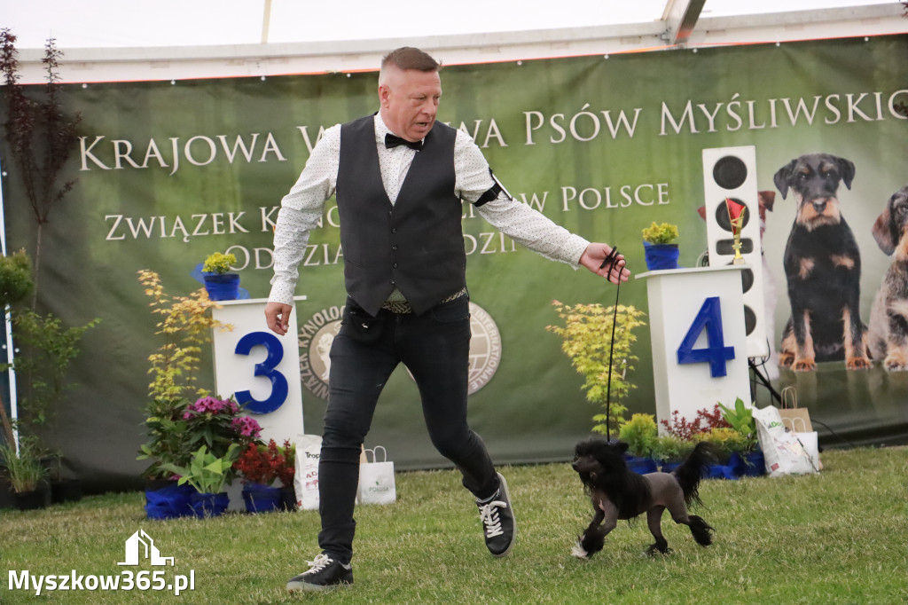 Fotorelacja - Wystawa Psów Rasowych GNIAZDÓW 2024r. NIEDZIELA III