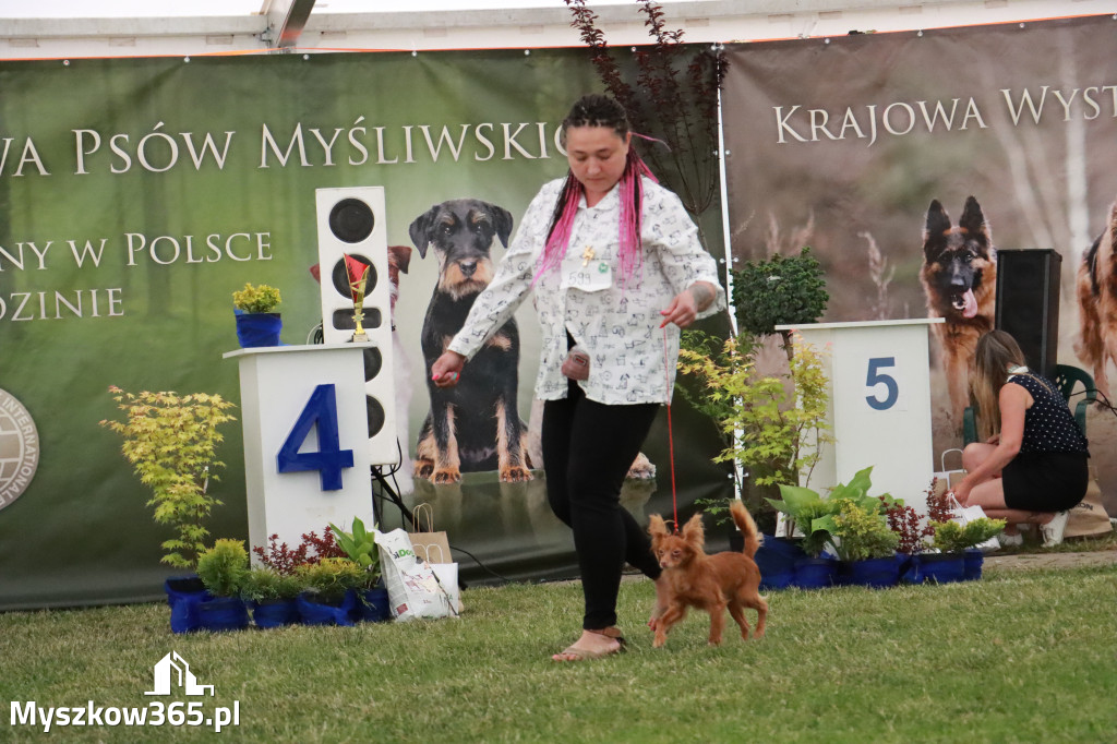 Fotorelacja - Wystawa Psów Rasowych GNIAZDÓW 2024r. NIEDZIELA III