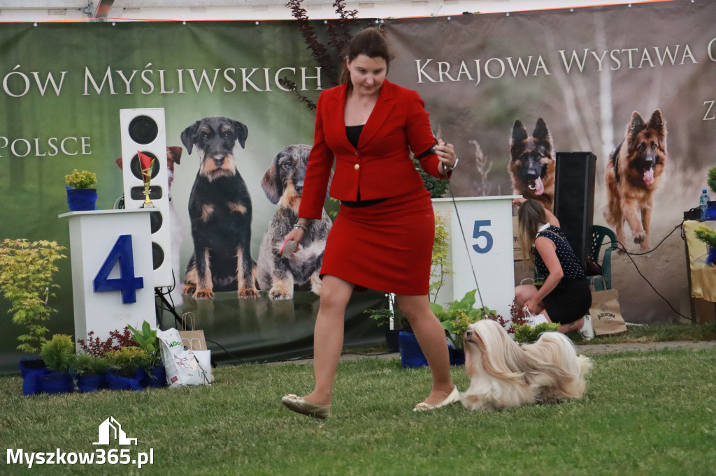 Fotorelacja - Wystawa Psów Rasowych GNIAZDÓW 2024r. NIEDZIELA III