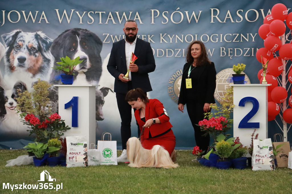 Fotorelacja - Wystawa Psów Rasowych GNIAZDÓW 2024r. NIEDZIELA III