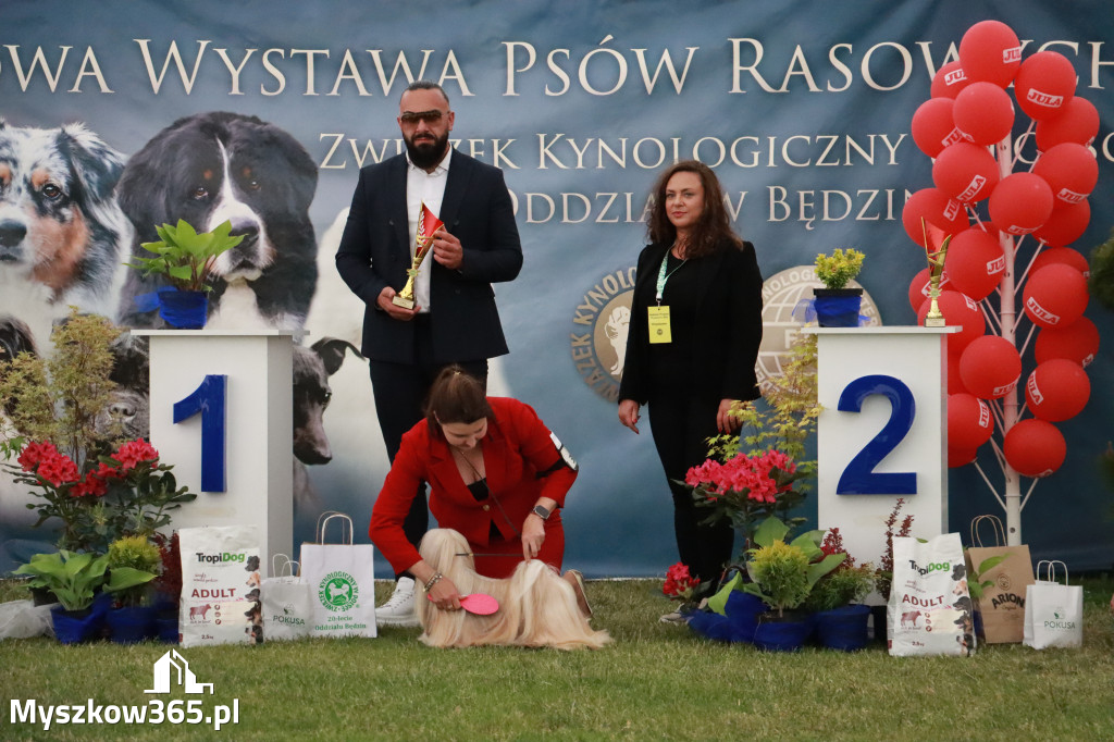 Fotorelacja - Wystawa Psów Rasowych GNIAZDÓW 2024r. NIEDZIELA III