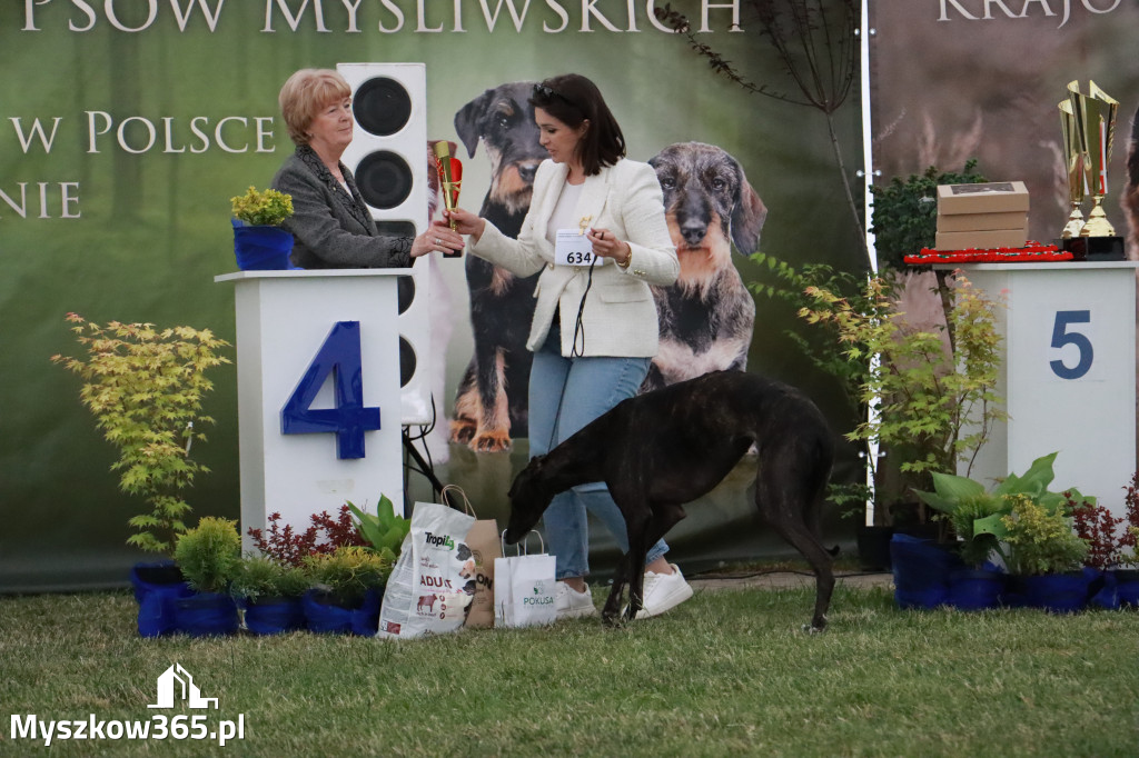 Fotorelacja - Wystawa Psów Rasowych GNIAZDÓW 2024r. NIEDZIELA III