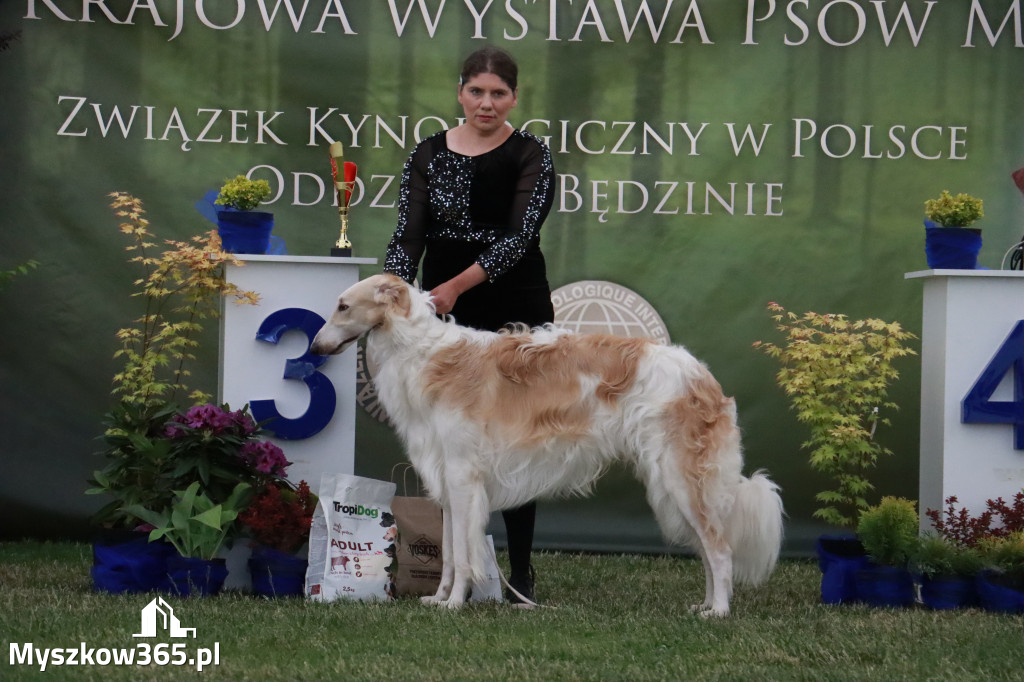 Fotorelacja - Wystawa Psów Rasowych GNIAZDÓW 2024r. NIEDZIELA III