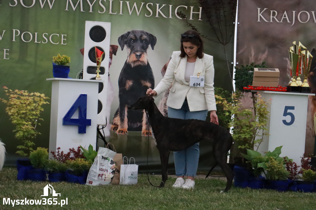 Fotorelacja - Wystawa Psów Rasowych GNIAZDÓW 2024r. NIEDZIELA III