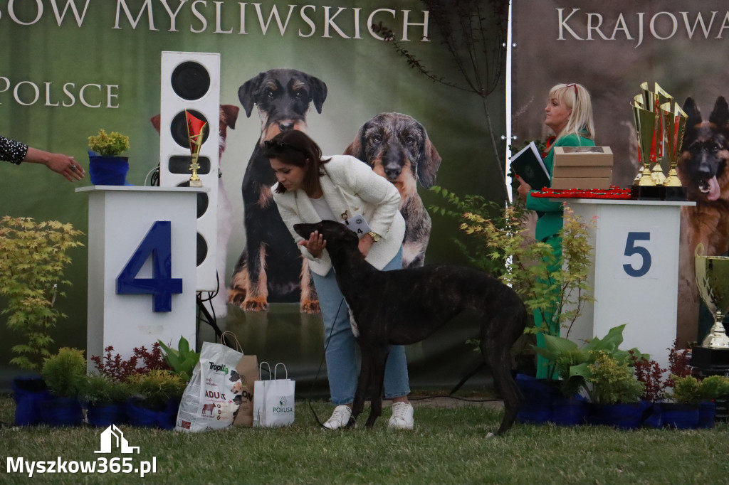 Fotorelacja - Wystawa Psów Rasowych GNIAZDÓW 2024r. NIEDZIELA III