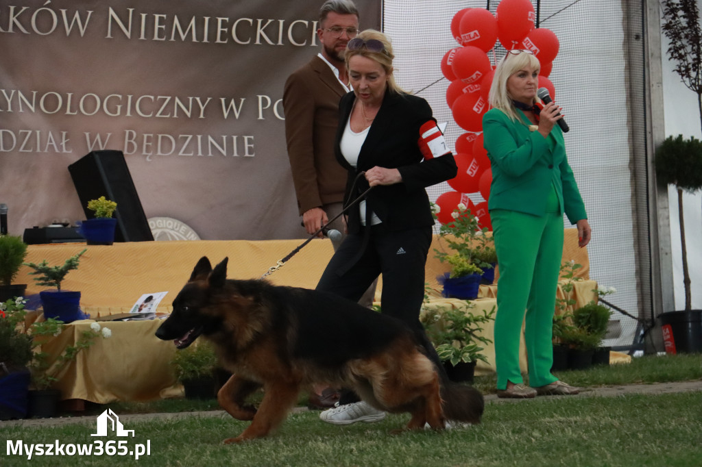 Fotorelacja - Wystawa Psów Rasowych GNIAZDÓW 2024r. NIEDZIELA III