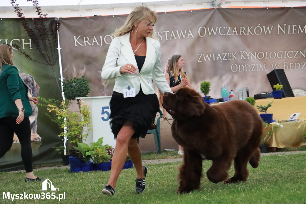 Fotorelacja - Wystawa Psów Rasowych GNIAZDÓW 2024r. NIEDZIELA III