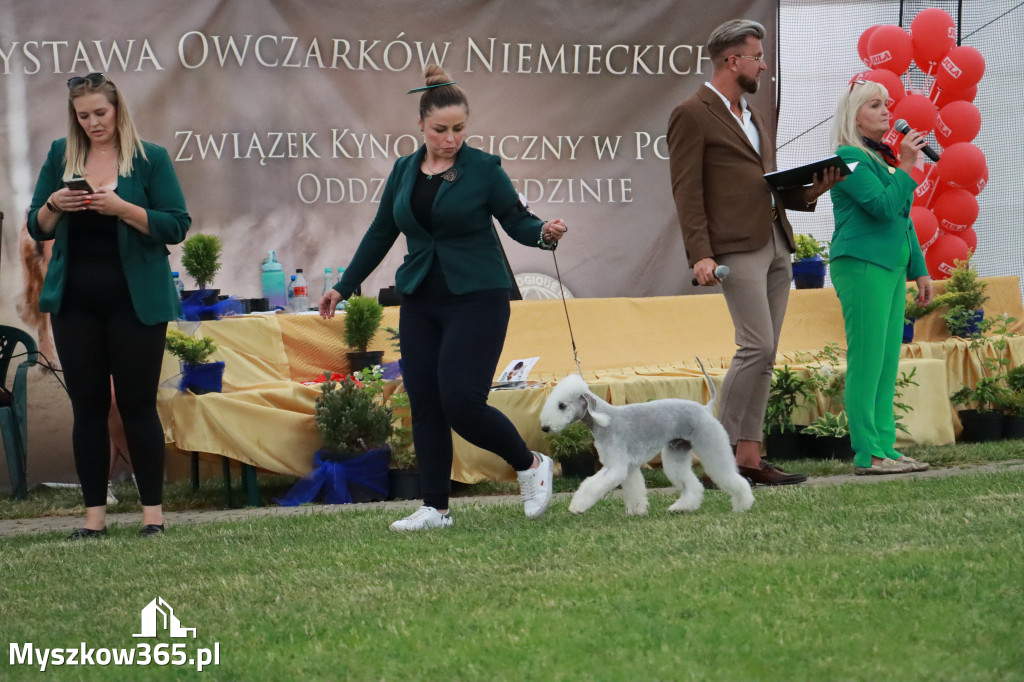 Fotorelacja - Wystawa Psów Rasowych GNIAZDÓW 2024r. NIEDZIELA III