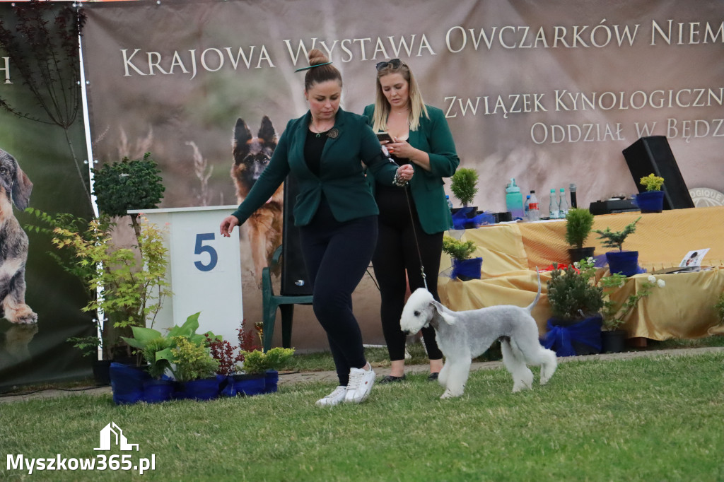 Fotorelacja - Wystawa Psów Rasowych GNIAZDÓW 2024r. NIEDZIELA III