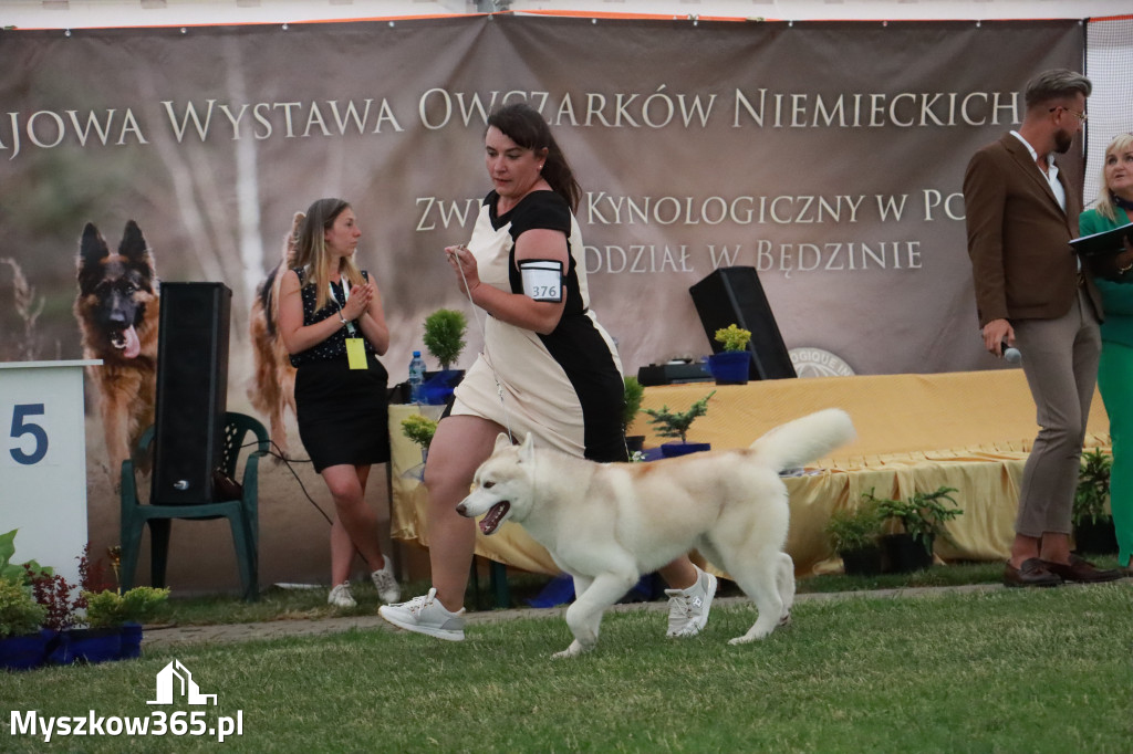 Fotorelacja - Wystawa Psów Rasowych GNIAZDÓW 2024r. NIEDZIELA III