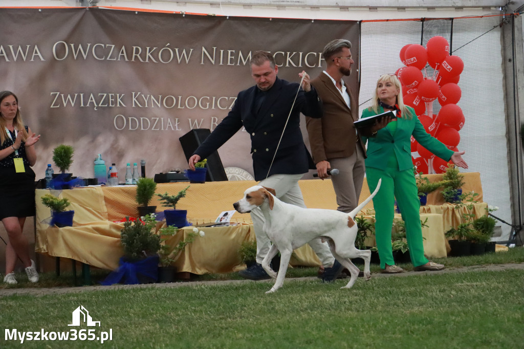 Fotorelacja - Wystawa Psów Rasowych GNIAZDÓW 2024r. NIEDZIELA III