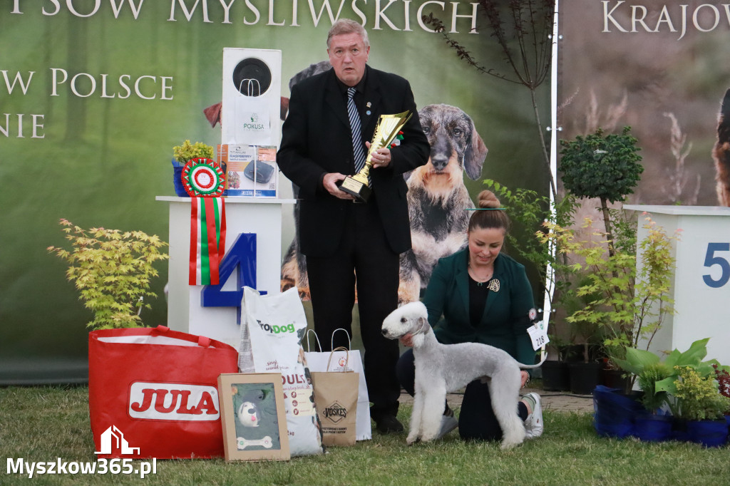 Fotorelacja - Wystawa Psów Rasowych GNIAZDÓW 2024r. NIEDZIELA III