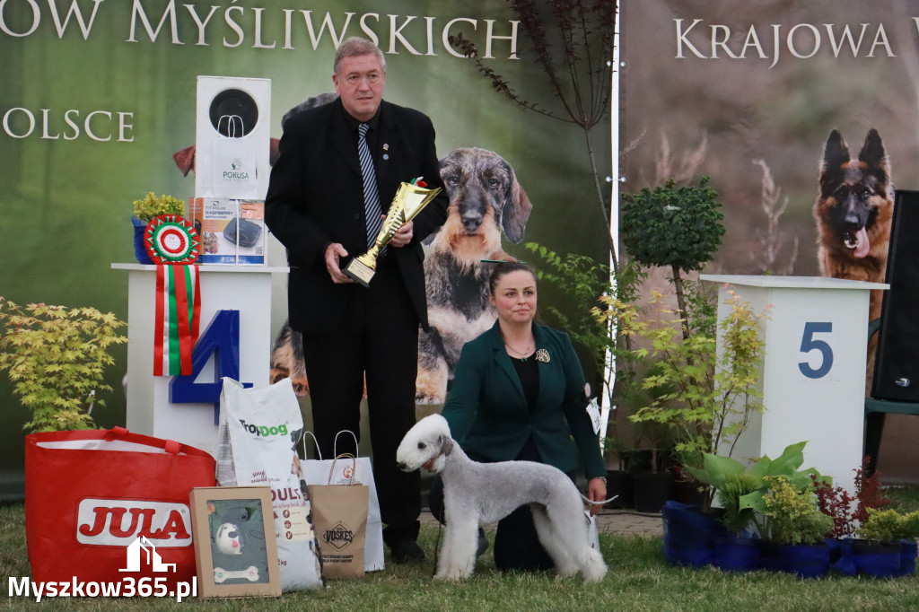 Fotorelacja - Wystawa Psów Rasowych GNIAZDÓW 2024r. NIEDZIELA III