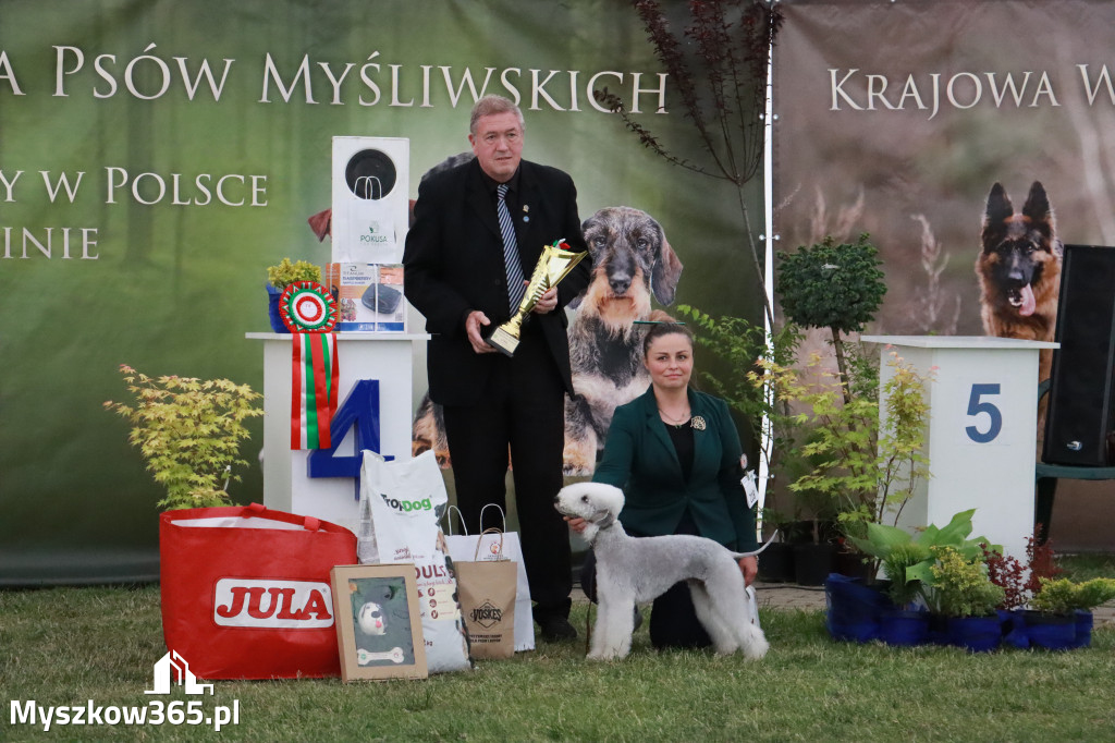 Fotorelacja - Wystawa Psów Rasowych GNIAZDÓW 2024r. NIEDZIELA III