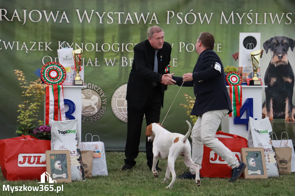 Fotorelacja - Wystawa Psów Rasowych GNIAZDÓW 2024r. NIEDZIELA III