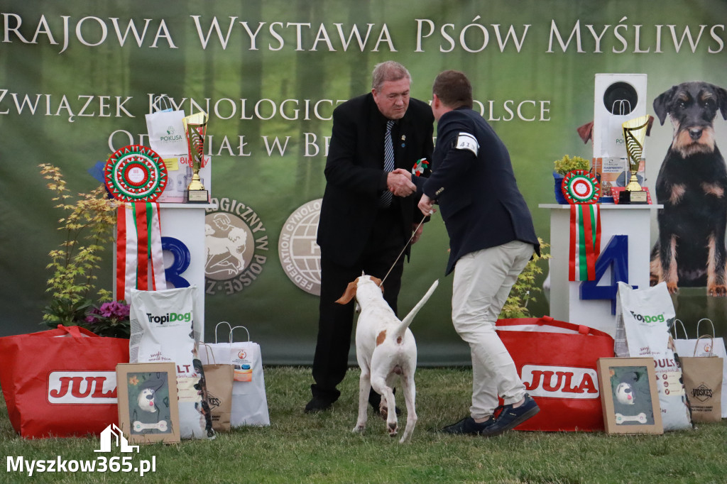 Fotorelacja - Wystawa Psów Rasowych GNIAZDÓW 2024r. NIEDZIELA III