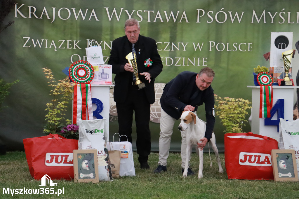 Fotorelacja - Wystawa Psów Rasowych GNIAZDÓW 2024r. NIEDZIELA III