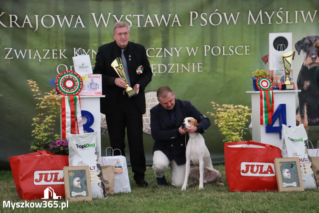 Fotorelacja - Wystawa Psów Rasowych GNIAZDÓW 2024r. NIEDZIELA III