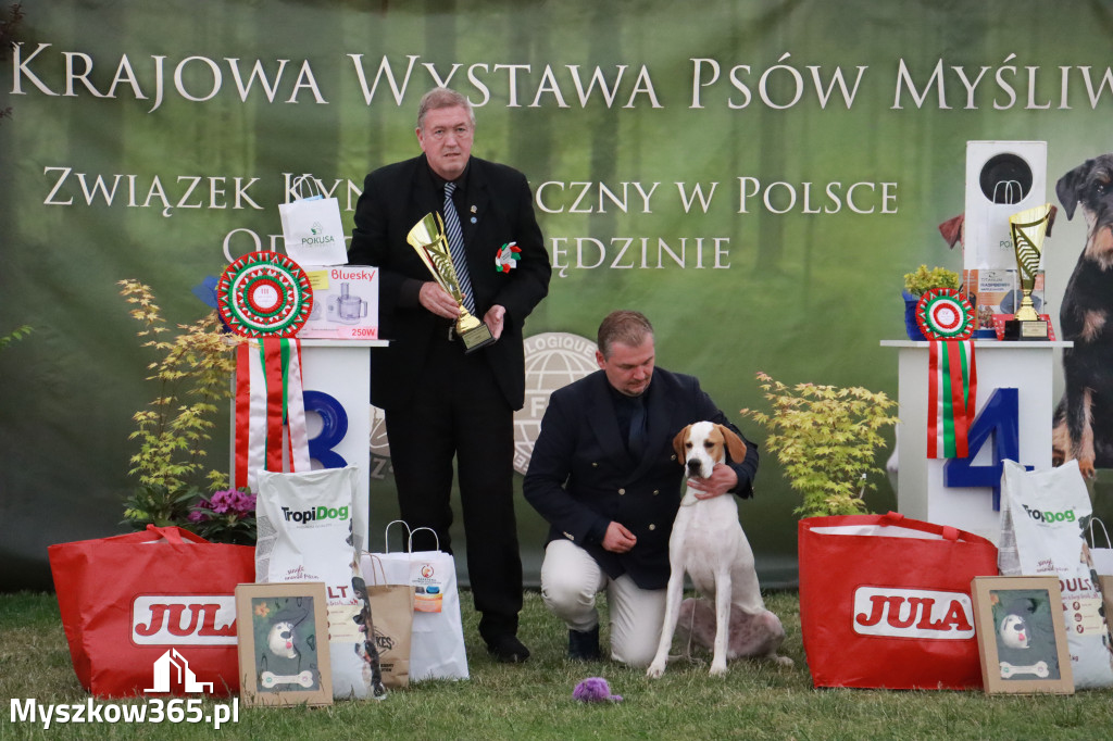 Fotorelacja - Wystawa Psów Rasowych GNIAZDÓW 2024r. NIEDZIELA III