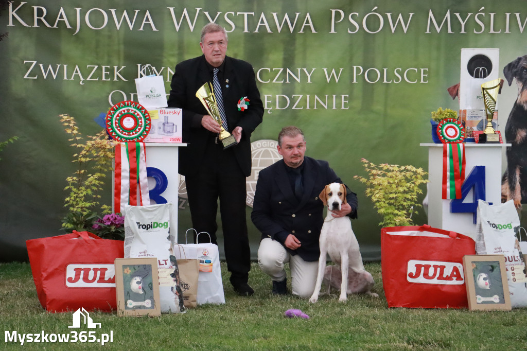 Fotorelacja - Wystawa Psów Rasowych GNIAZDÓW 2024r. NIEDZIELA III