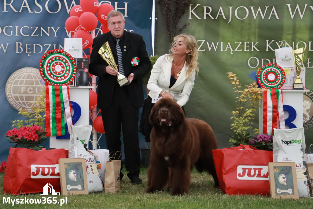 Fotorelacja - Wystawa Psów Rasowych GNIAZDÓW 2024r. NIEDZIELA III