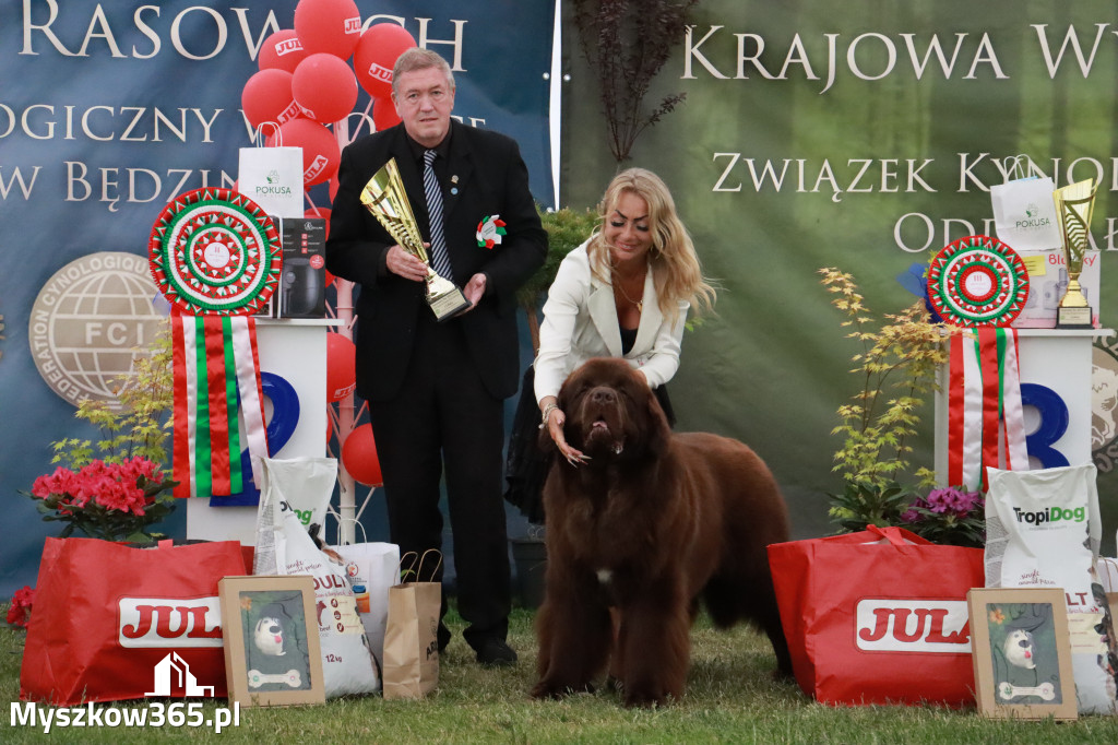 Fotorelacja - Wystawa Psów Rasowych GNIAZDÓW 2024r. NIEDZIELA III