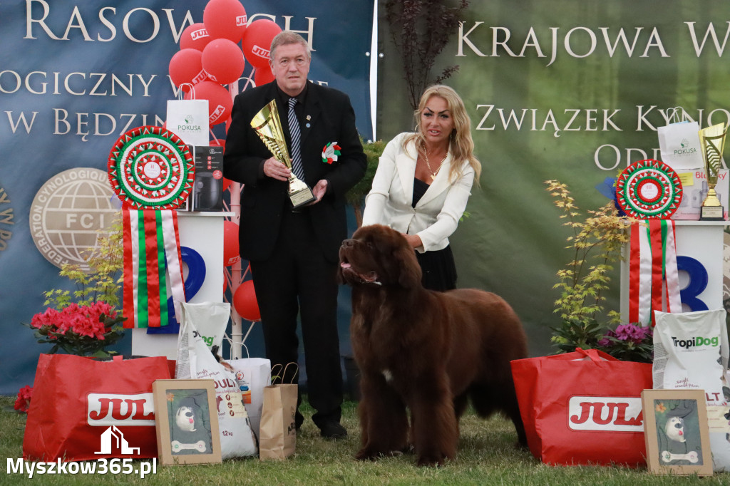 Fotorelacja - Wystawa Psów Rasowych GNIAZDÓW 2024r. NIEDZIELA III