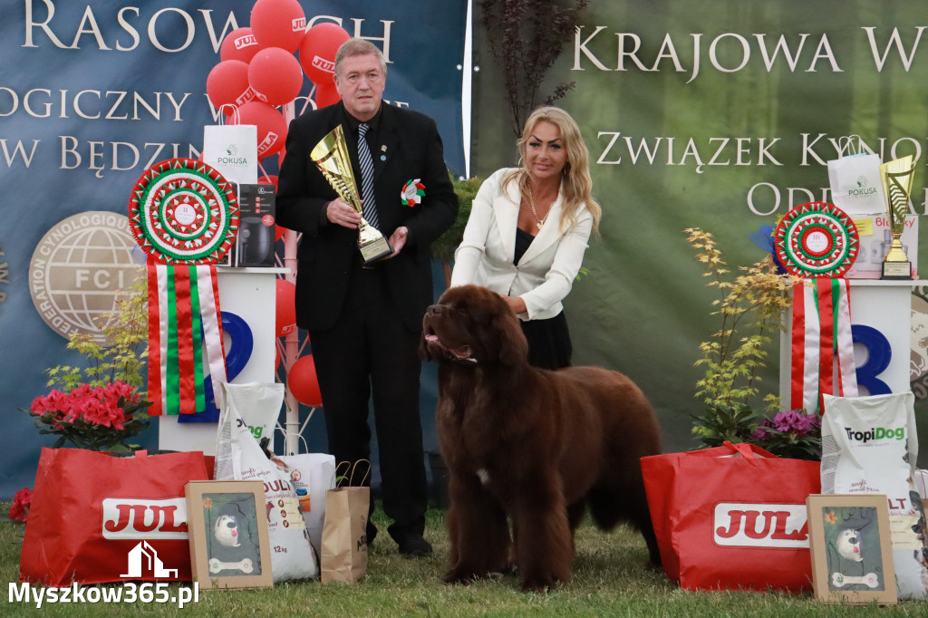 Fotorelacja - Wystawa Psów Rasowych GNIAZDÓW 2024r. NIEDZIELA III