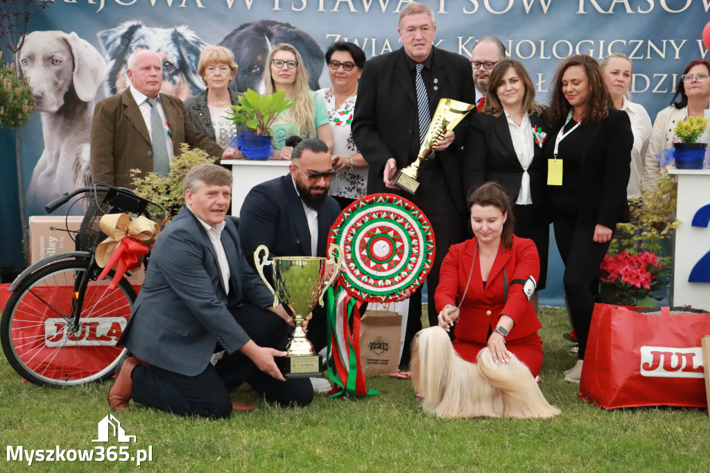 Fotorelacja - Wystawa Psów Rasowych GNIAZDÓW 2024r. NIEDZIELA III