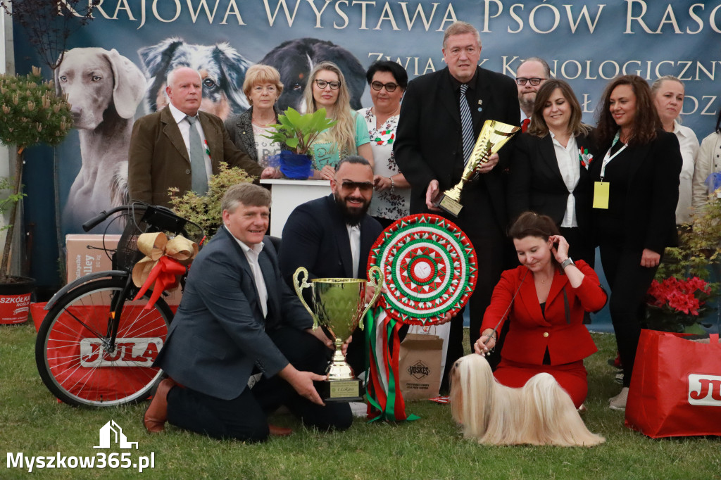 Fotorelacja - Wystawa Psów Rasowych GNIAZDÓW 2024r. NIEDZIELA III