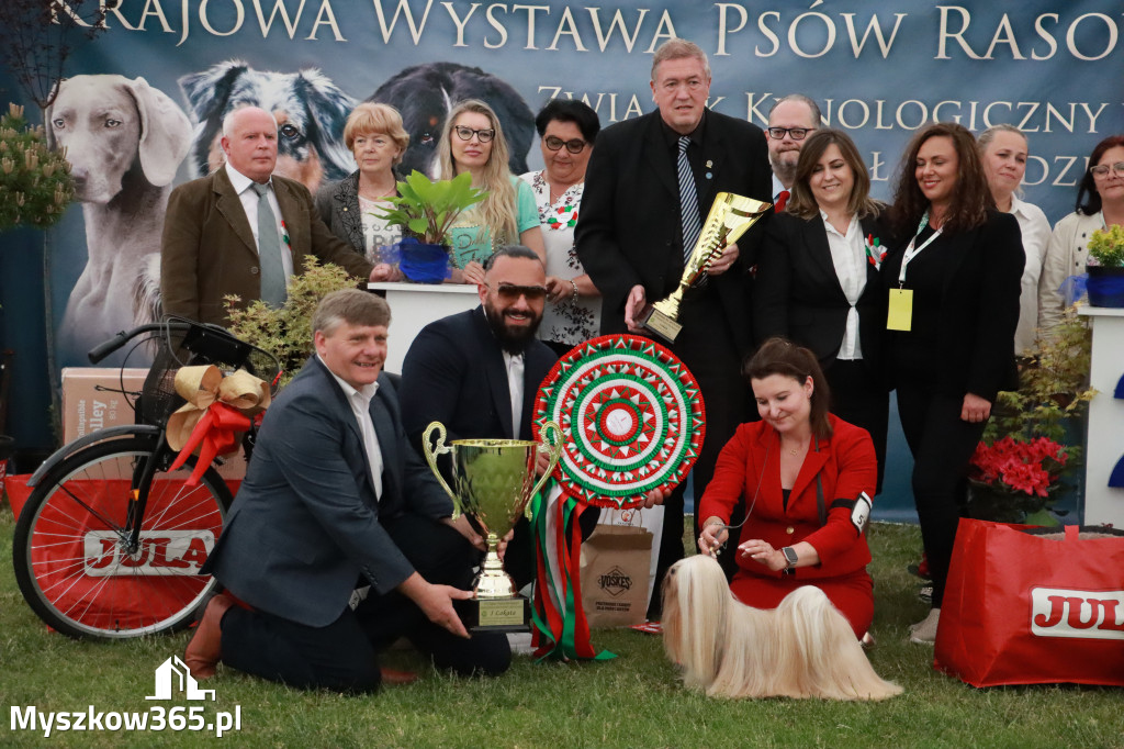 Fotorelacja - Wystawa Psów Rasowych GNIAZDÓW 2024r. NIEDZIELA III