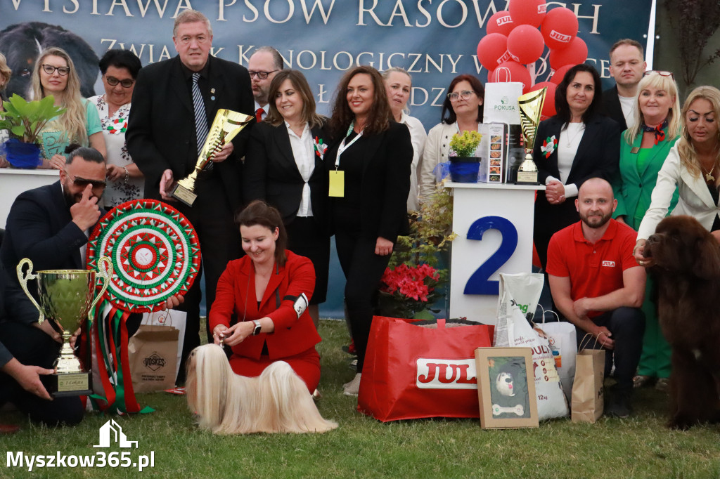 Fotorelacja - Wystawa Psów Rasowych GNIAZDÓW 2024r. NIEDZIELA III