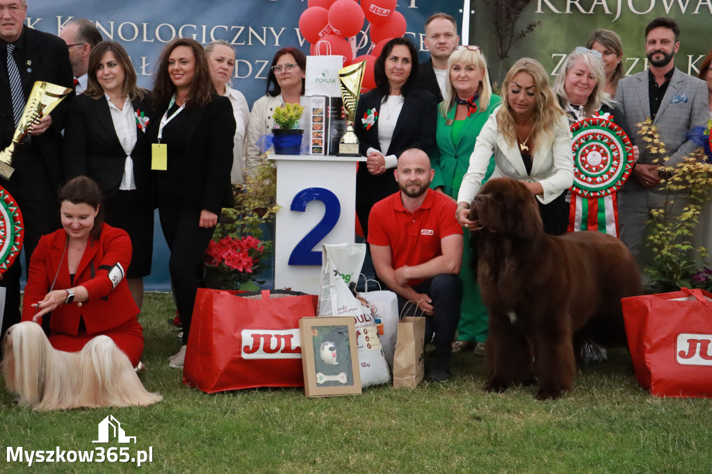 Fotorelacja - Wystawa Psów Rasowych GNIAZDÓW 2024r. NIEDZIELA III