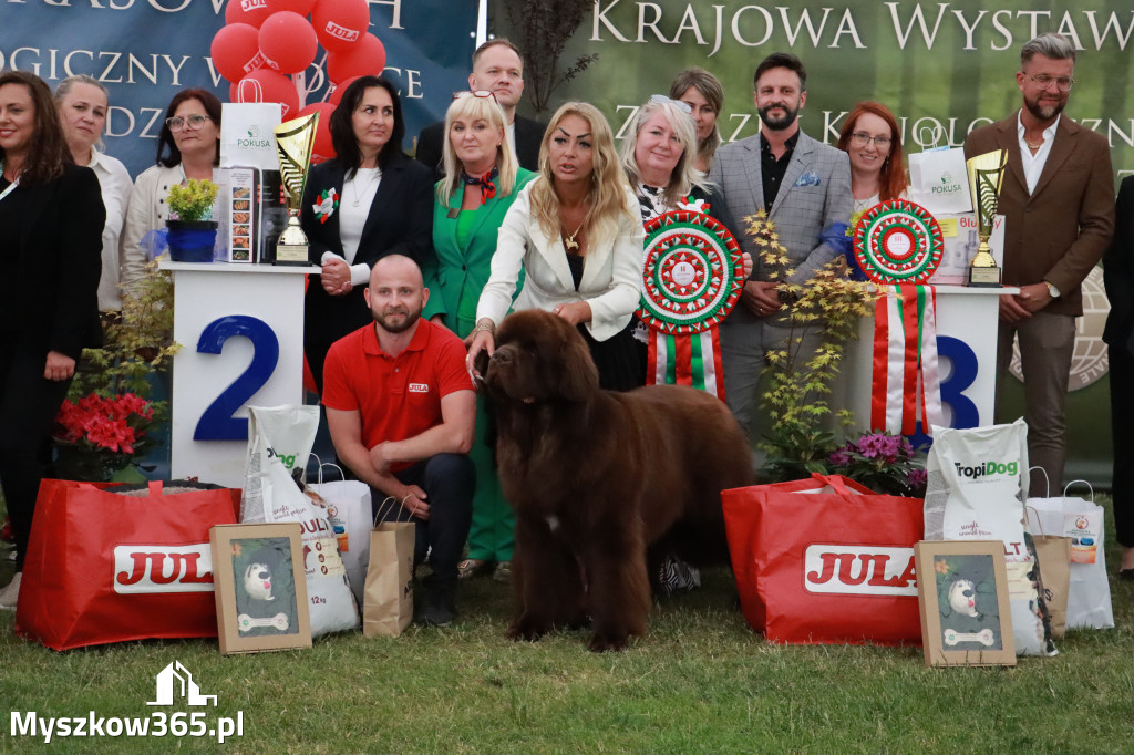 Fotorelacja - Wystawa Psów Rasowych GNIAZDÓW 2024r. NIEDZIELA III