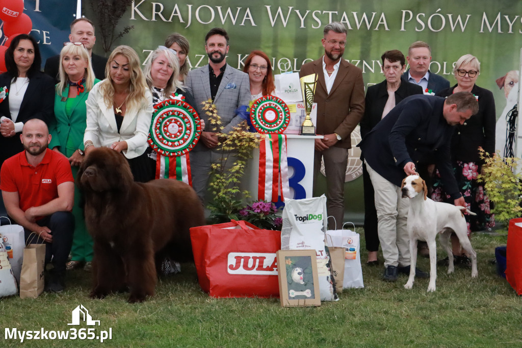 Fotorelacja - Wystawa Psów Rasowych GNIAZDÓW 2024r. NIEDZIELA III