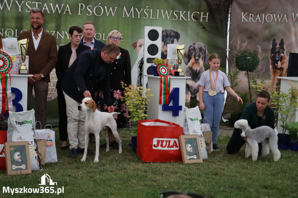 Fotorelacja - Wystawa Psów Rasowych GNIAZDÓW 2024r. NIEDZIELA III