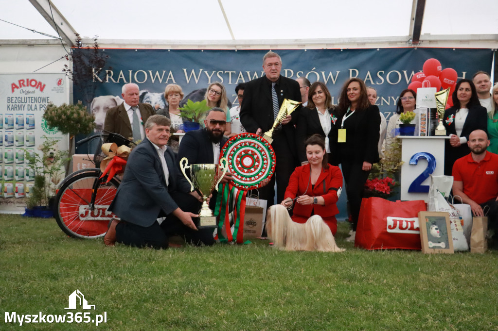 Fotorelacja - Wystawa Psów Rasowych GNIAZDÓW 2024r. NIEDZIELA III