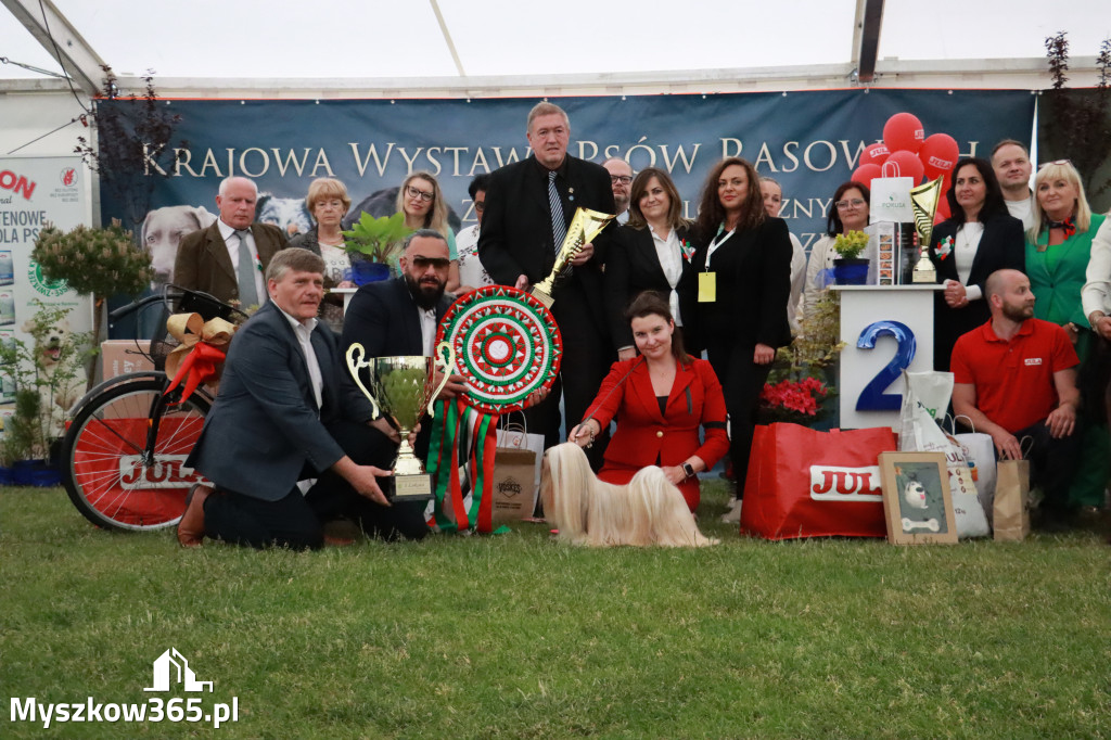 Fotorelacja - Wystawa Psów Rasowych GNIAZDÓW 2024r. NIEDZIELA III