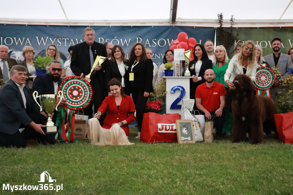 Fotorelacja - Wystawa Psów Rasowych GNIAZDÓW 2024r. NIEDZIELA III