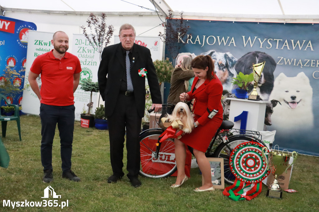 Fotorelacja - Wystawa Psów Rasowych GNIAZDÓW 2024r. NIEDZIELA III