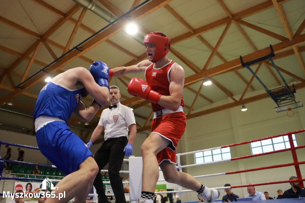 Fotorelacja: Turniej Bokserski 