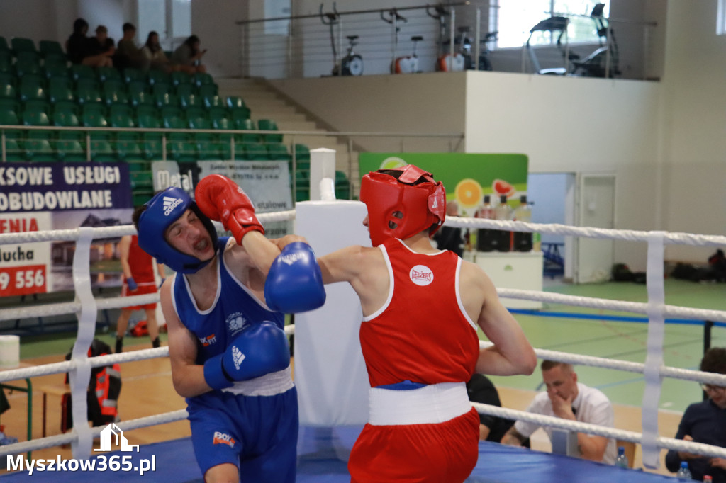 Fotorelacja: Turniej Bokserski 