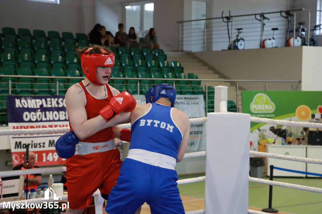 Fotorelacja: Turniej Bokserski 